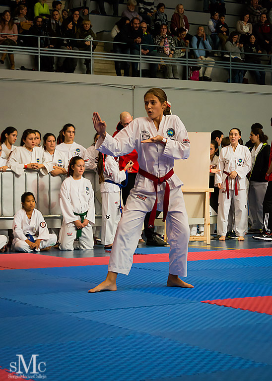 COPA SEUL, 2017  (39).JPG